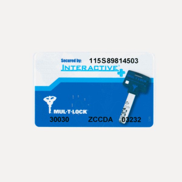 画像2: マルティロックシリンダー用合鍵 (2)